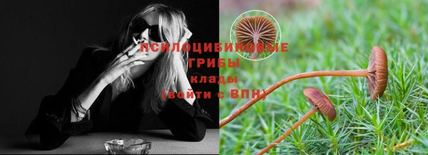 гашик Алзамай