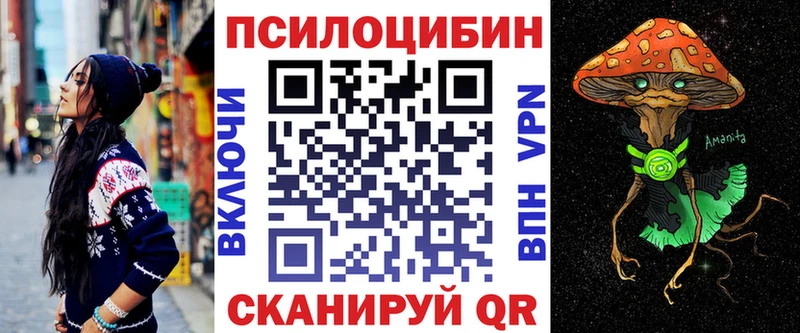 darknet какой сайт  Плавск  Псилоцибиновые грибы ЛСД 
